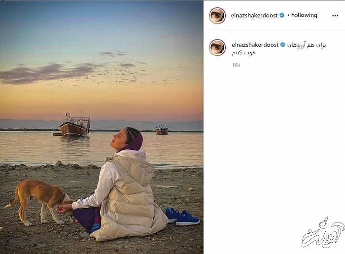 عکس زیبای الناز شاکردوست الناز شاکردوست